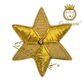 Bullion Embroidered Star