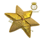 Bullion Embroidered Star