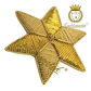 Bullion Embroidered Star