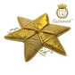 Bullion Embroidered Star